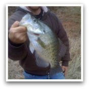 Crappie Magnet Lures, Jig Heads And Kits