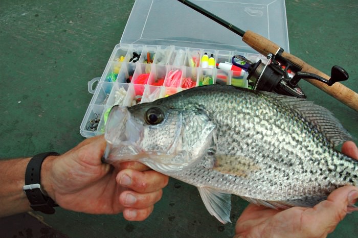 crappie lures