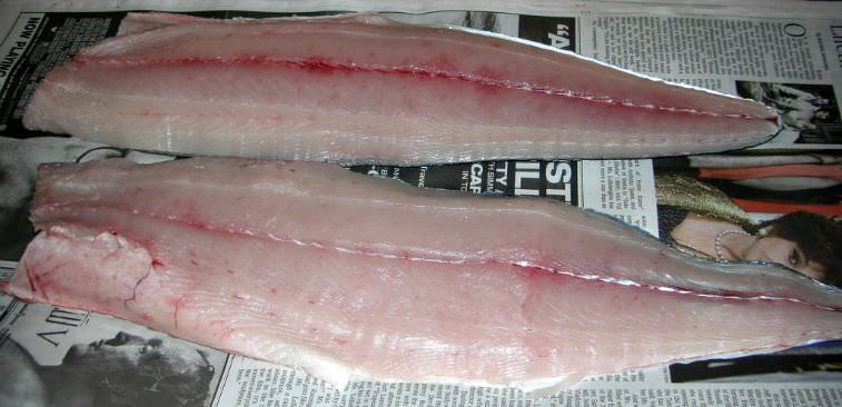 How To Fillet Fish - Filleting Fish Instructions