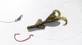 The Carolina Rig How To Rig And Fish Wired2Fish, 59% OFF
