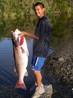 American River Striped Bass Fishing - The Striper King