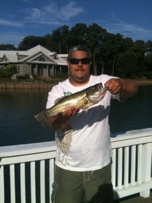 Delaware Freshwater Bass