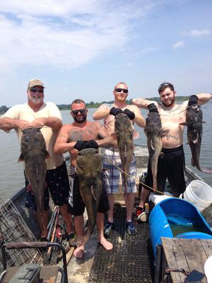 Fishing rend lake  Catfish Angler Forum at USCA